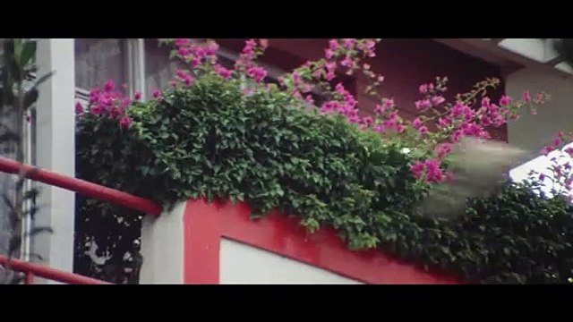 Il était une fois l'unique Bruce Lee Bande-annonce (EN)