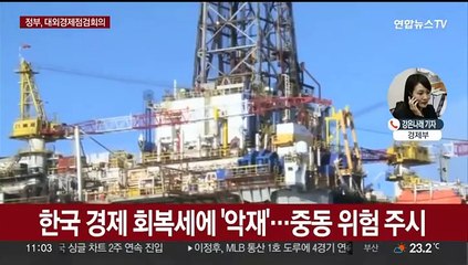 정부, 대외경제점검회의 개최…'중동 위기' 여파 논의