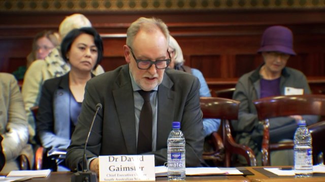 Hundreds protest against proposed changes to SA Museum