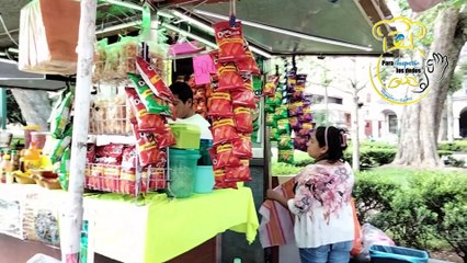 Papas estilo Coatepec, ¡en Xalapa!