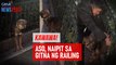 Kawawa! Aso, naipit sa gitna ng railing | GMA Integrated Newsfeed