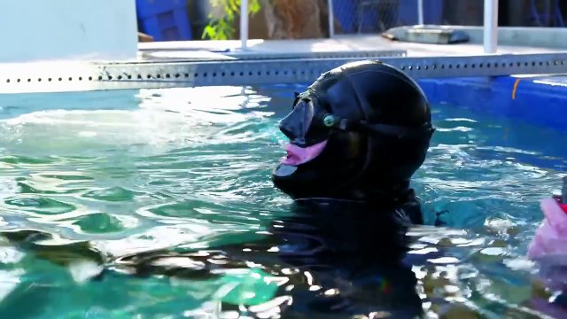 Hollywood Weapons: Fact or Fiction? Saison 1 - Hollywood Weapons - NEW Outdoor Channel Original Series (EN)