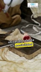 El Acto de Valor Médico: La Increíble Hazaña del Doctor que se Operó a Sí Mismo, Leonid Rogozov.