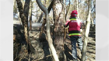 충북 진천 야산서 불..."쓰레기 소각이 원인" / YTN