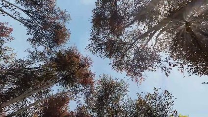 Knit's Island, l'île sans fin Bande-annonce (EN)