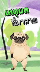 เหตุผล ที่มาสาย #ตลกฮาฮา #นิยายเสียง