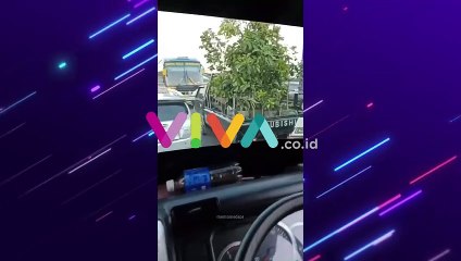 Si Tampan dan Pemberani, Sopir Pickup Uji Nyali, Hadang Bus