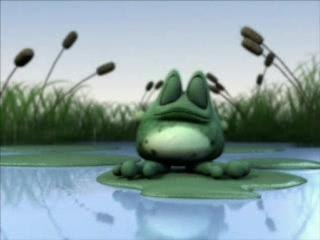 grenouille & poisson