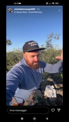 potatura olive in corso