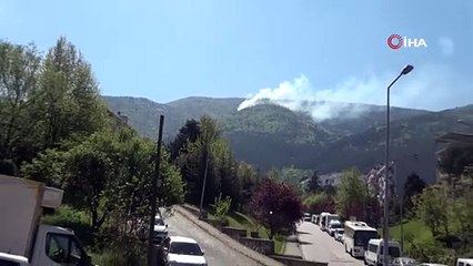 Uludağ eteklerinde yangın