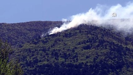 Uludağ eteklerinde orman yangını!