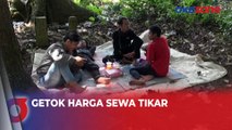 Viral Rombongan Wisatawan Digetok Harga Sewa Tikar Rp100 Ribu di Kebun Teh Subang