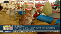 En Venezuela celebra la 47ª Feria Nacional de ganadería