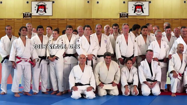 2015 VELIZY STAGE JUDO