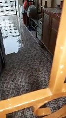 VID-20240414-WA0071