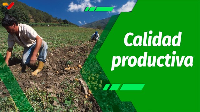 Cultivando Patria | Pueblo Llano: municipio ejemplar, modelo de productividad y exportación de papa