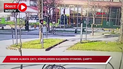 Ekmek almaya çıktı; köpeklerden kaçarken otomobil çarptı