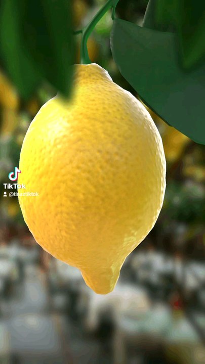 Daily Affirmation - When Life Gives you Lemons