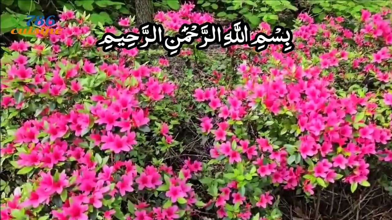 surah at talaq with urdu translation | surah talaq urdu tarjuma ke sath | surah at-talaq by 786 cuisine