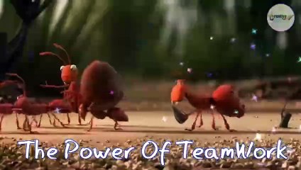 Teamwork and Leadership _ Animated short clip _ Creative 360 _ #teamwork #leadership #motivation