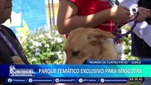 Parque ‘Mundo de Cuatro Patas’: el paraíso de los perritos sí existe, es gratuito y se está en Surco