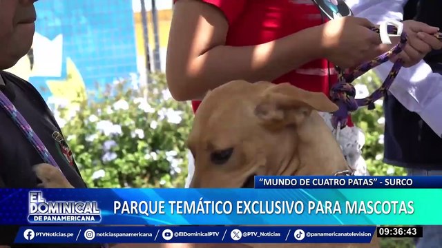 Parque ‘Mundo de Cuatro Patas’: el paraíso de los perritos sí existe, es gratuito y se está en Surco