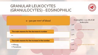 Normal values for granular eosinophilic leukocytes and causes of their increase/decrease