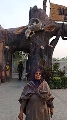 Zoo Entrance #viral #trending #foryou #reels #beautiful #love #funny #delicious #fun #love #yummy