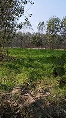 funny rabbits #viral #trending #foryou #reels #beautiful #love #funny #delicious #fun #love #yummy