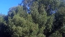 VID_20240127_124030
