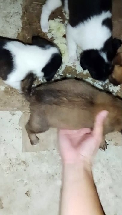 When they were young!!