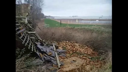 Sugar beet Problems - Part 2 - Episode 5