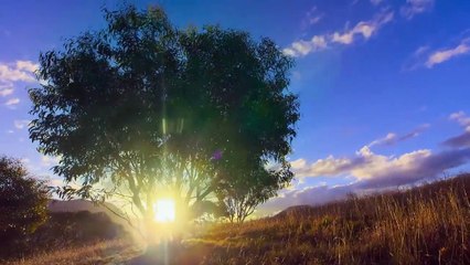 Kangaroo Valley (2022) stream deutsch anschauen