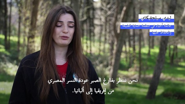 الطيور المهاجرة تتناقص في سماء ألبانيا بسبب الاحترار ومخاطر الأنشطة البشرية
