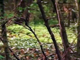 Historia de la primera guerra mundial: Fin del asedio