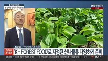 [출근길 인터뷰] 우리 숲에서 자란 '봄 산나물' 밥상 어때요?