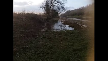 Sugar beet Problems - Part 3 - Episode 2