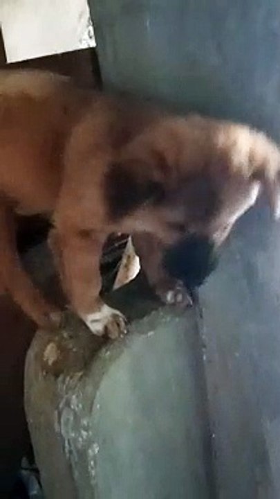 Colette is planning on jumping instead