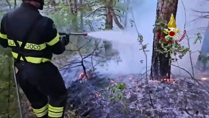 Incendio nel bosco di Santa Sofia, il video