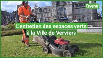 L'entretien des espaces verts à la Ville de Verviers