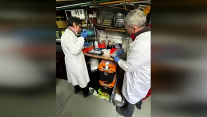 Scientists detect spread of deadly bird flu in Antarctica