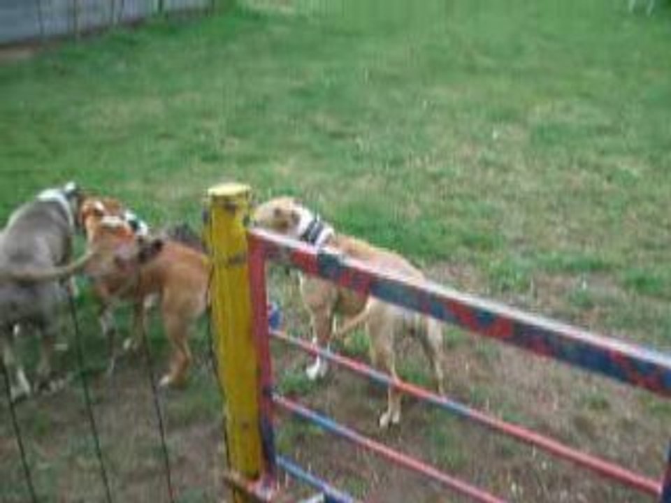 Photo 1539