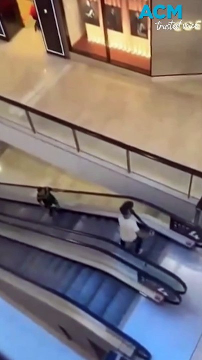 'Bollard men' heroes who took on Bondi knifeman identified