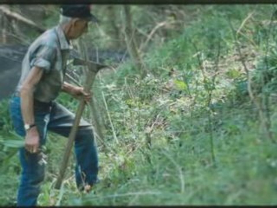 Radio Orphans - Hey Jim - Garden Mix