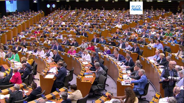 Elections européennes : les Républicains font campagne sur l'immigration à Menton