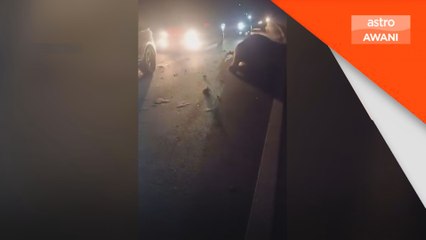 Anak gajah mati dilanggar kenderaan di JRTB