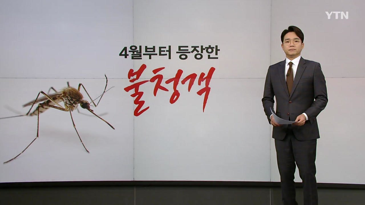 "4월인데 벌써?"... 지구온난화, 모기 활동 시계 앞당겨 [앵커리포트] / YTN