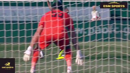 Panathinaikos vs Lamia 3-1 All Goals & Highlights 2024