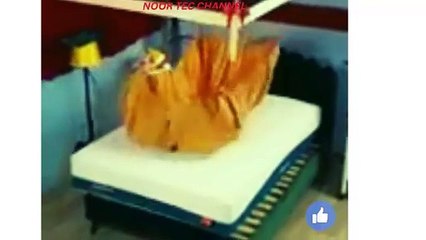 The Paradox of Plenty: Exploring the Quest for Happiness Amid Abundance"