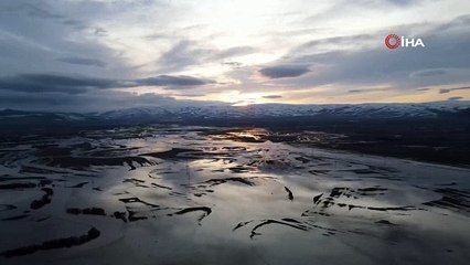 Yağmur bir ilimizi fena vurdu: Nehir taştı, ova göl oldu